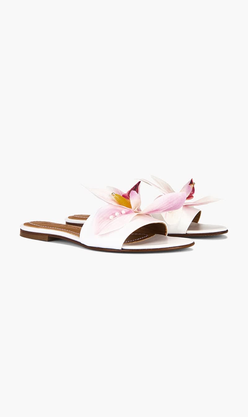 Alameda Turquesa White Flower White Leather Slides for Women | The Deal Outlet
Alameda Turquesa White Flower White Leather Slides for Women | The Deal Outlet
