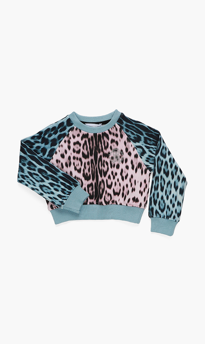 Colourblock Sweatshirt