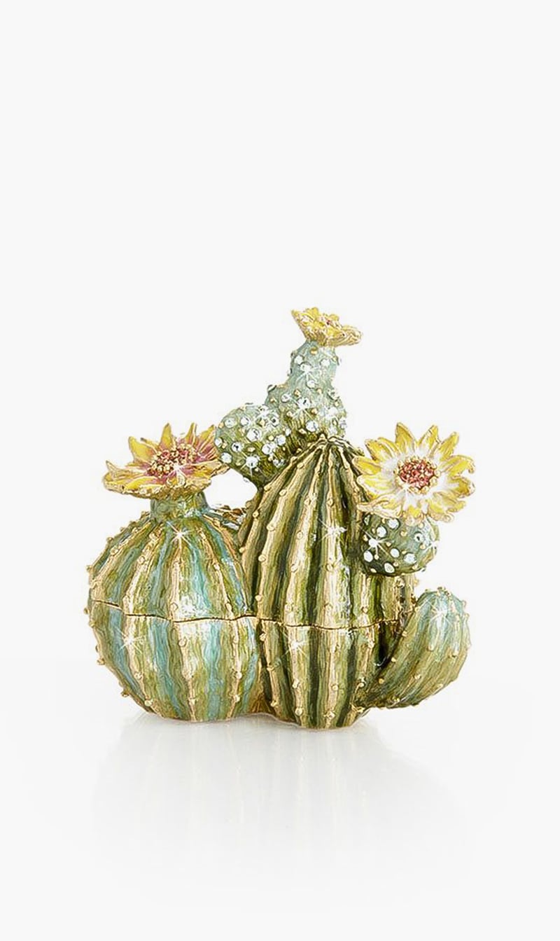 Spike Cactus Box