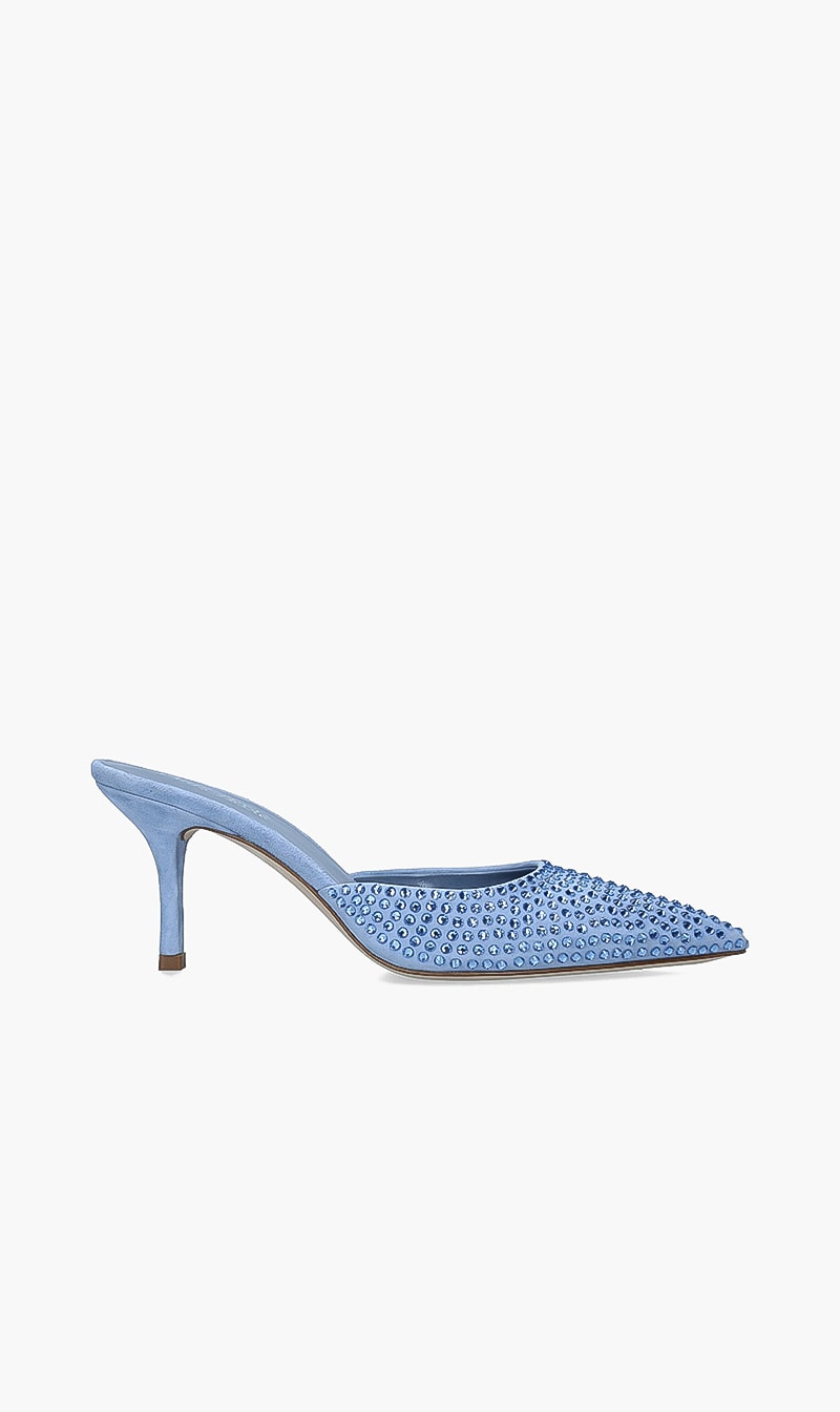 Hollywood Mule, Blue