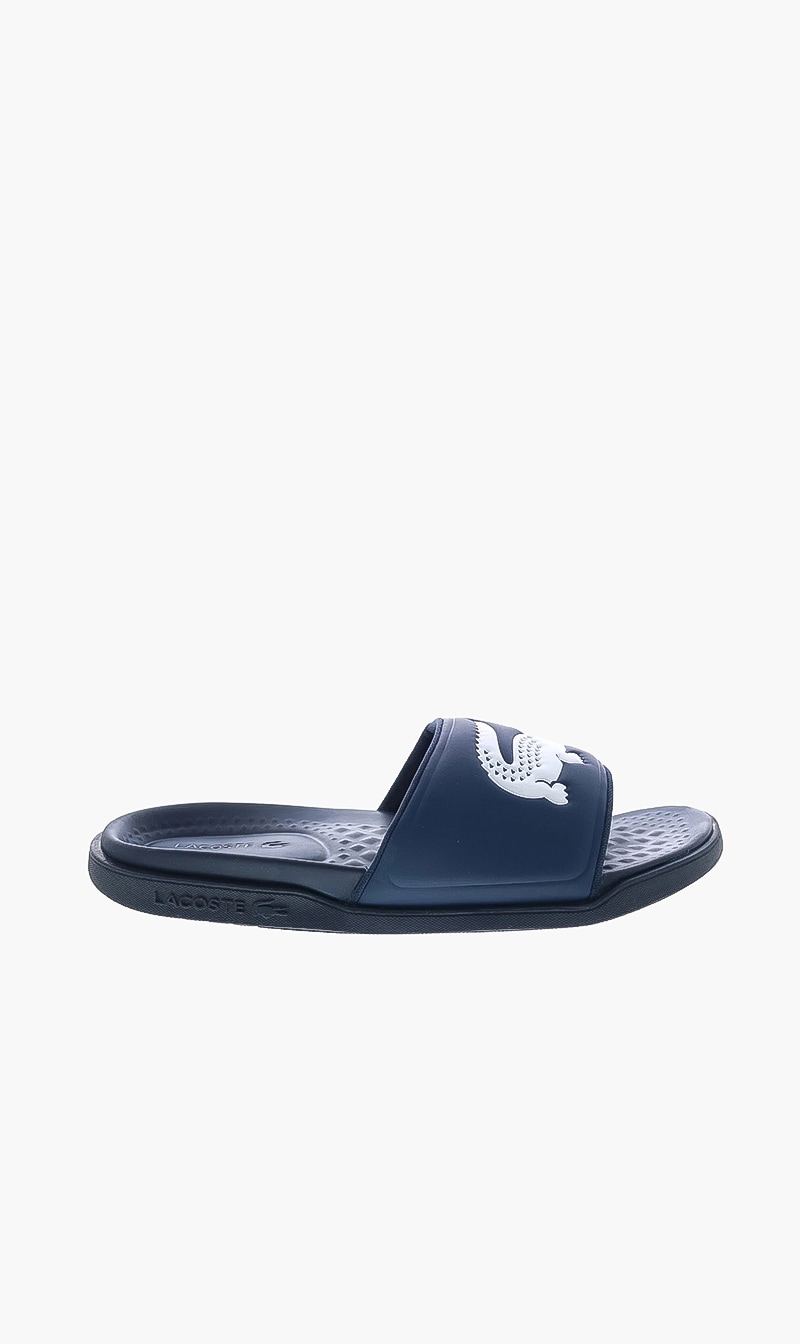 Classic Logo Slides