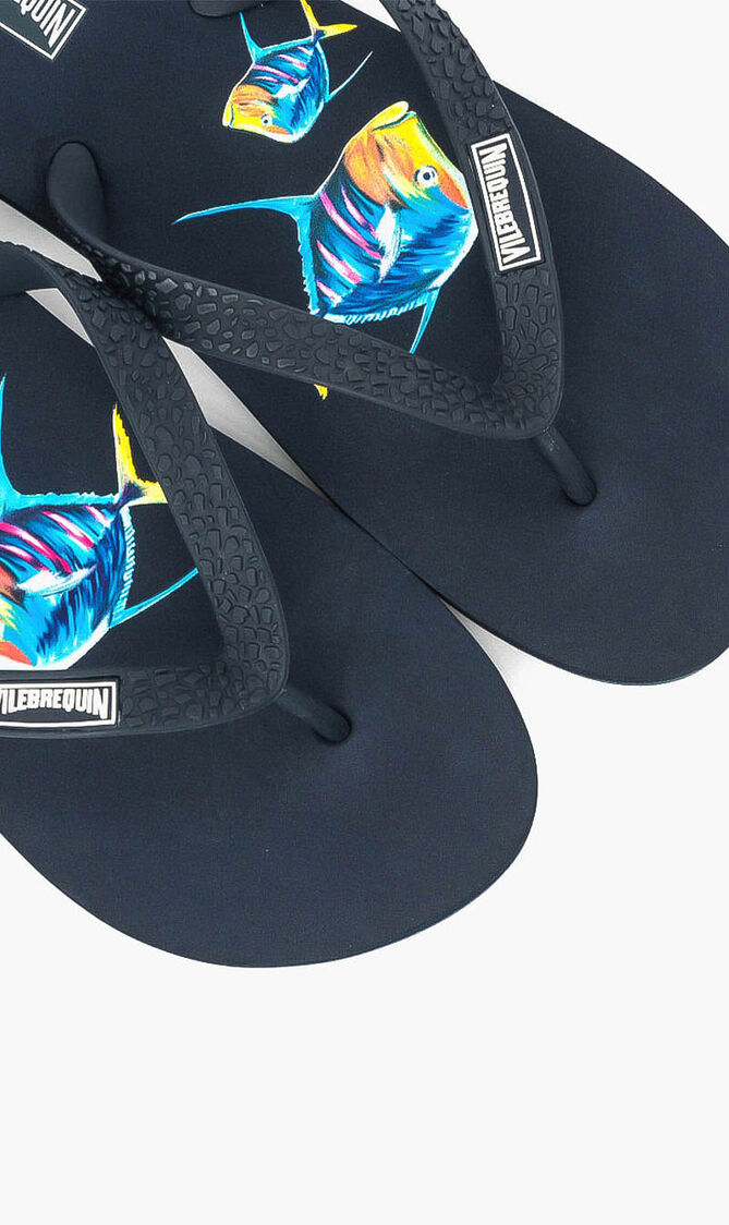 Fish Printed Slides