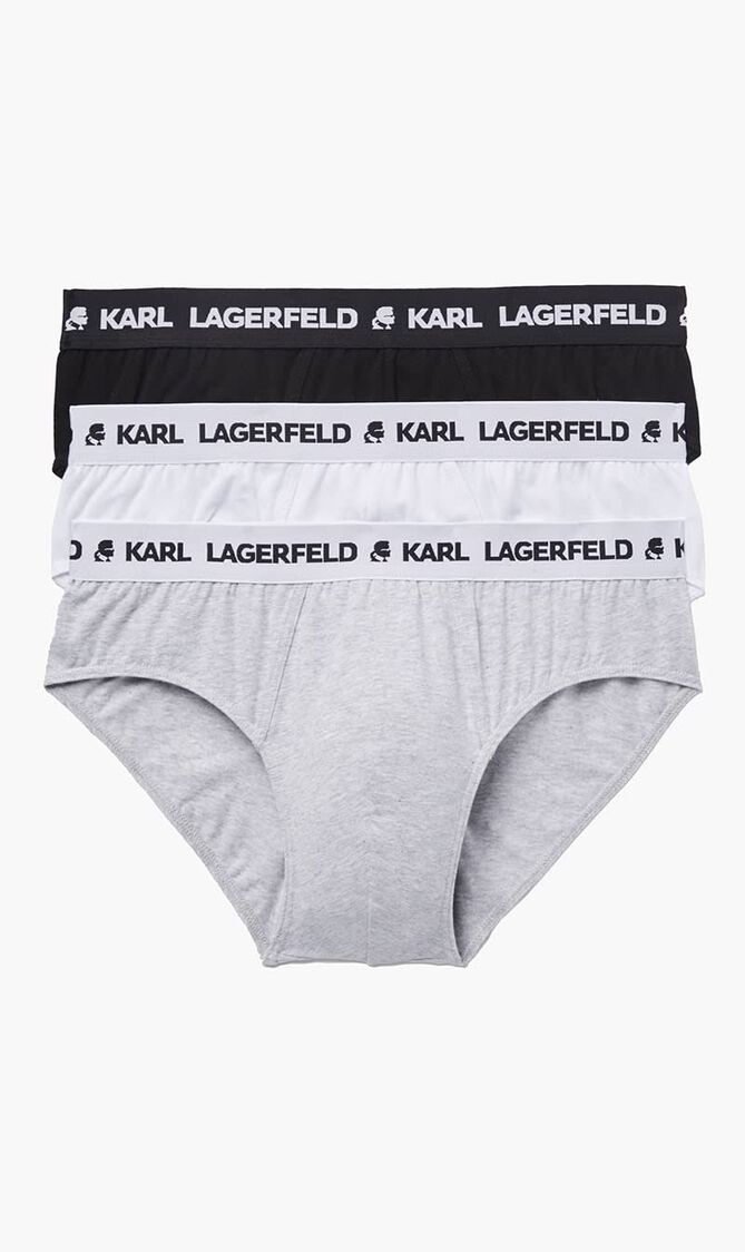 Logo Briefs - 3 Pack
