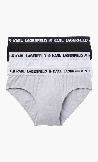 Logo Briefs - 3 Pack