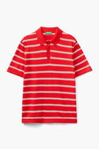 Striped Knit Polo Shirt