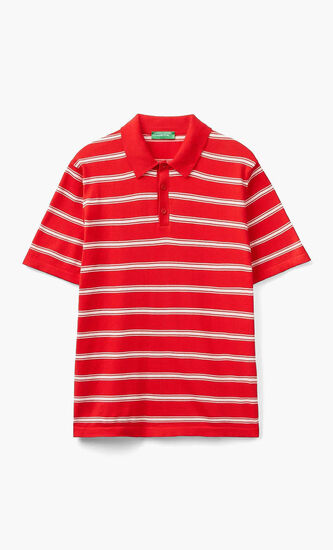 Striped Knit Polo Shirt