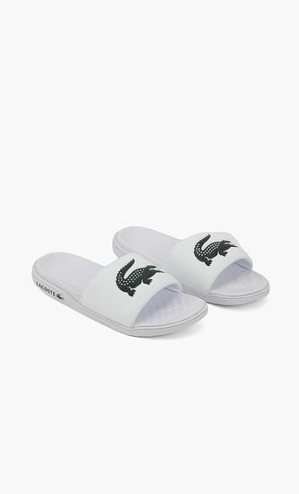 Classic Logo Slides