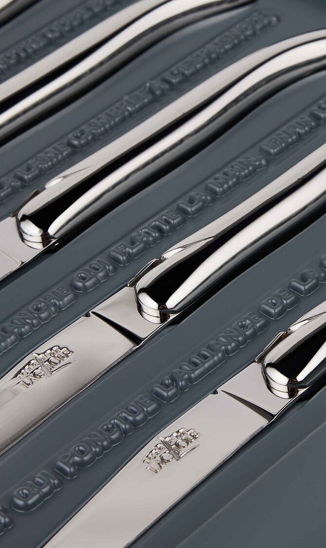 Set of 6 - Philippe Starck Stainless Steel Table Knives Set of 6 - Philippe Starck Stainless Steel Table Knives