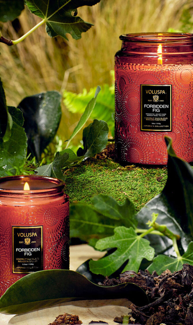 Forbidden Fig Large Jar Candle