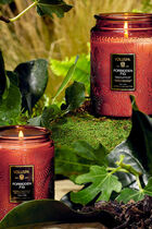 Forbidden Fig Large Jar Candle