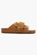 Kyoto Teddy Leve