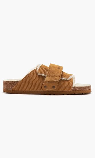 Kyoto Teddy Leve