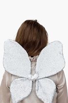 Silver Wings
