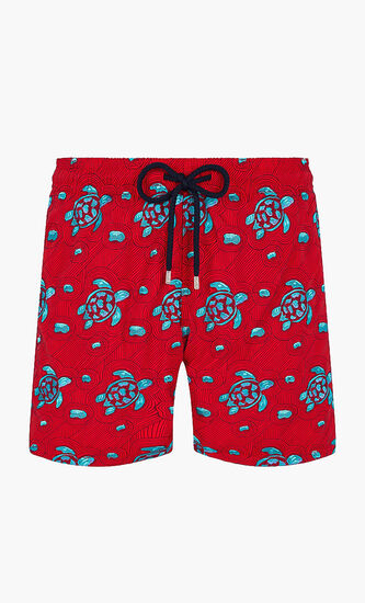 Turtle Printed Shorts