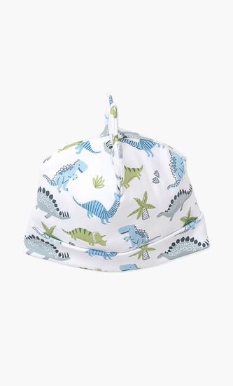 Dino Dynamos Printed Hat