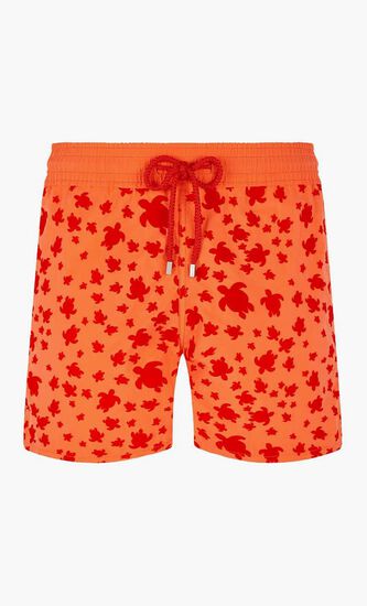 Turtle Swim Shorts