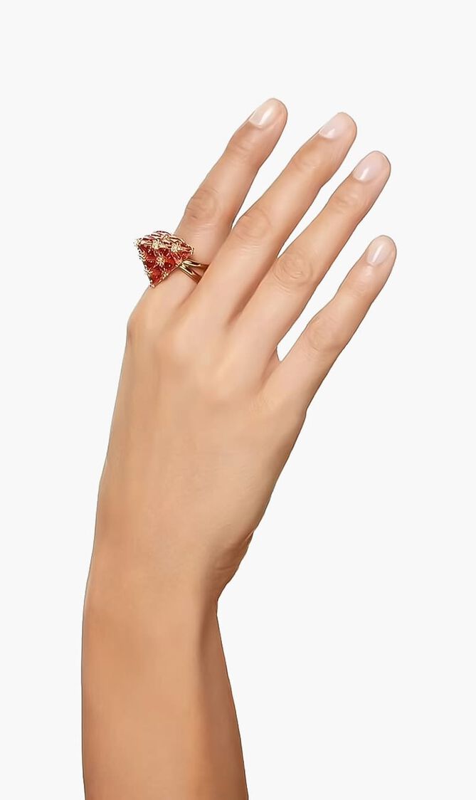 SJC RE CURIOSA RING S TRI REORY/GOS 52 MM