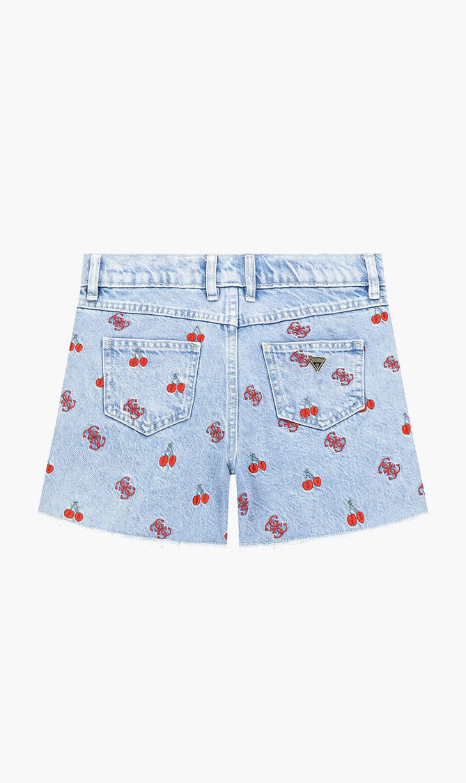 Embroidery Denim Shorts