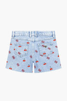 Embroidery Denim Shorts