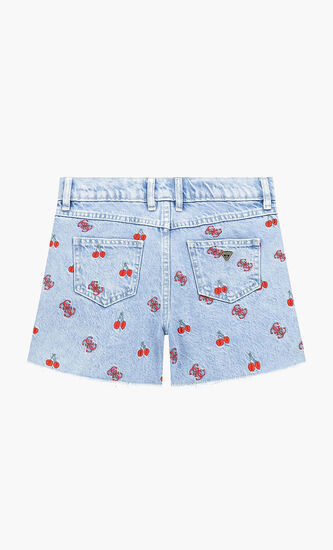 Embroidery Denim Shorts