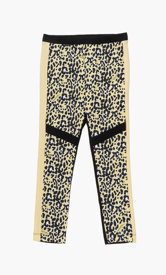 Leopard Print Leggings