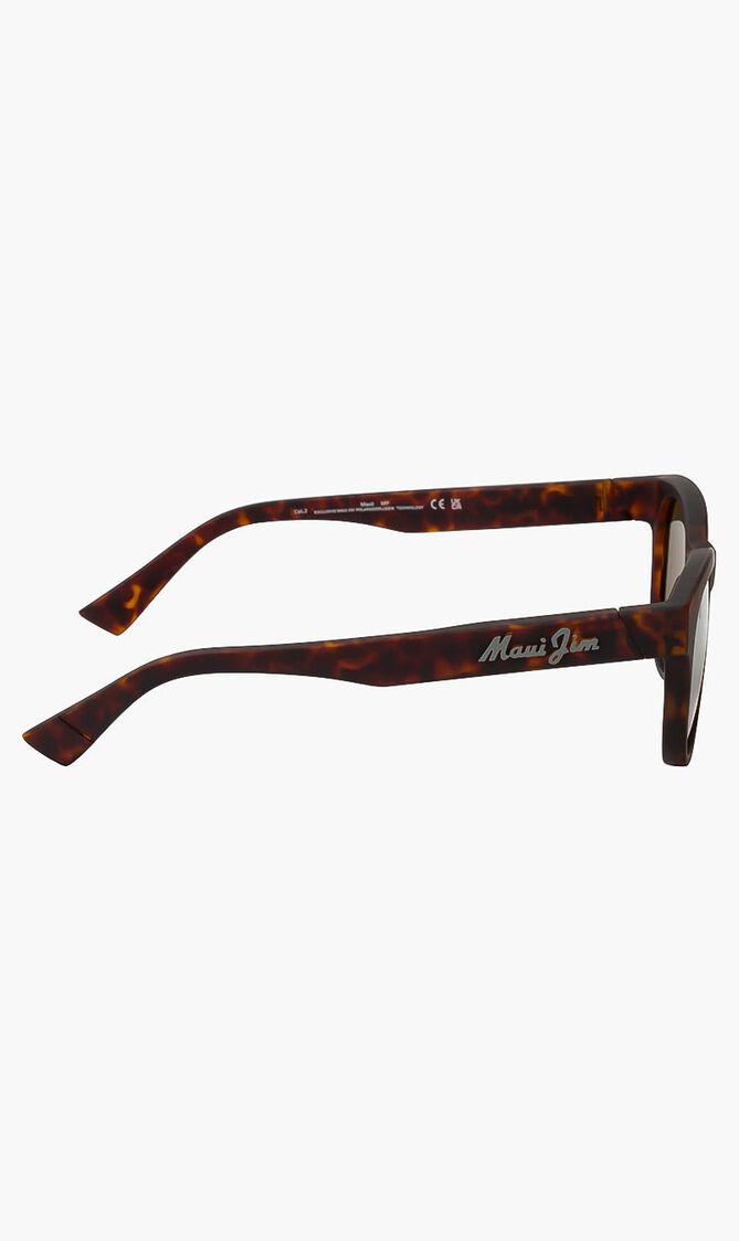 Havana Sunglasses