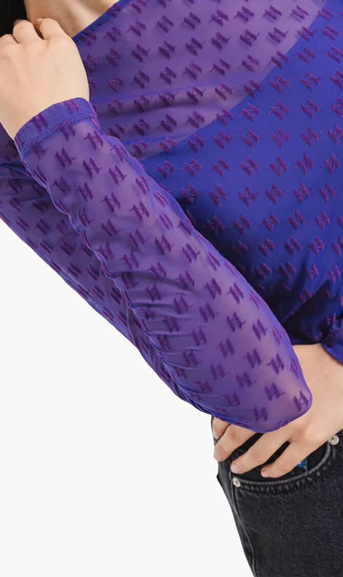 Mesh Long Sleeve Top