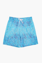 Graphic Shorts