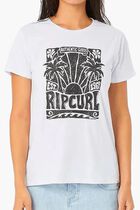 Sol Seeker Standard Tee