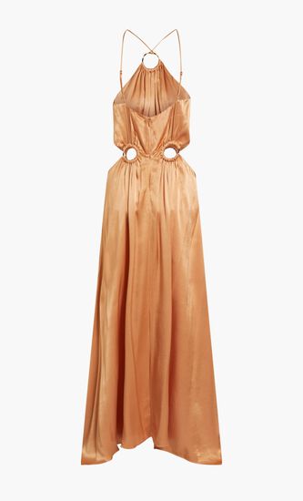 VISITANT MAXI DRESS