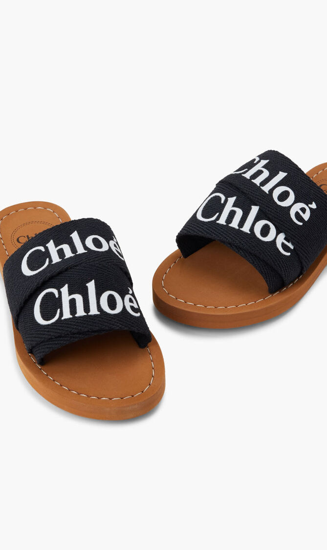 AQUA SLIDES