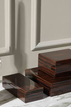 صندوق مستطيل الشكل مصنوع من خشب أبنوس ماكاسار