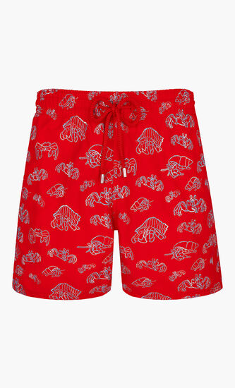 Hermit Crabs Swim Trunks