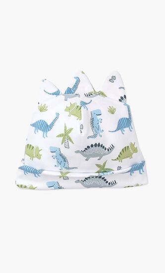 Dino Dynamos Printed Hat