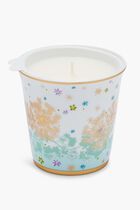 BRD TUMBLER + CANDLE HOME FRAGRANCE FEERIE - MICHAEL CAILLOUX