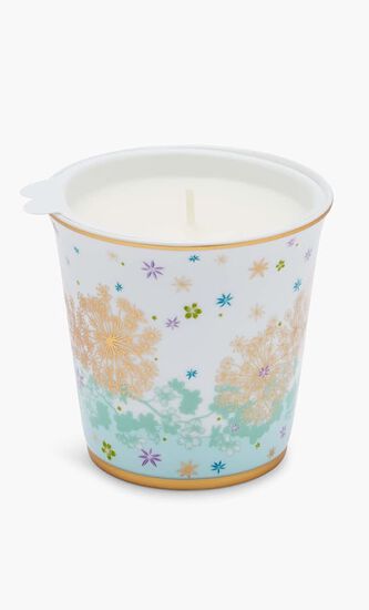 BRD TUMBLER + CANDLE HOME FRAGRANCE FEERIE - MICHAEL CAILLOUX