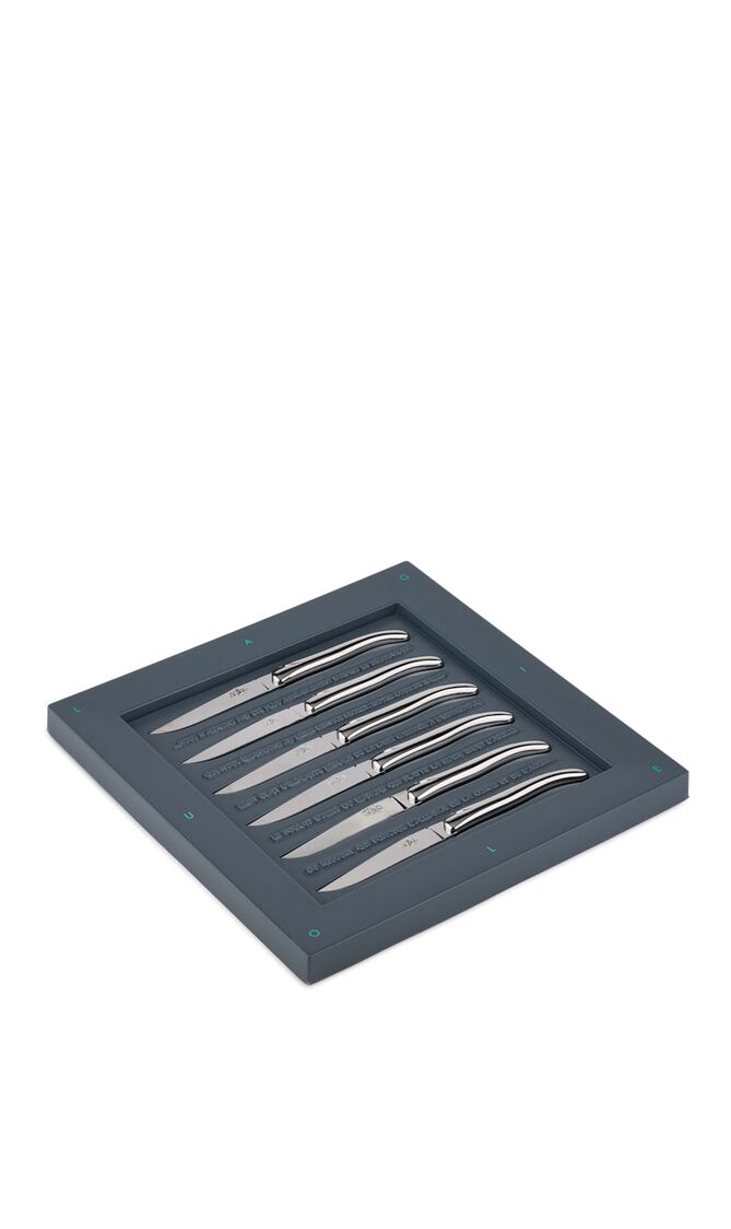 Set of 6 - Philippe Starck Stainless Steel Table Knives Set of 6 - Philippe Starck Stainless Steel Table Knives