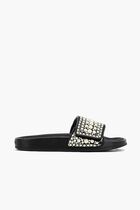 Crystal Canvas Slides