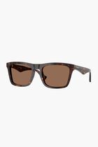 Dark Havana Sunglasses