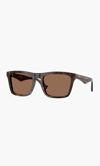 Dark Havana Sunglasses