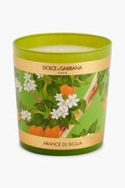 DGA INSTITUTIONAL CANDLE