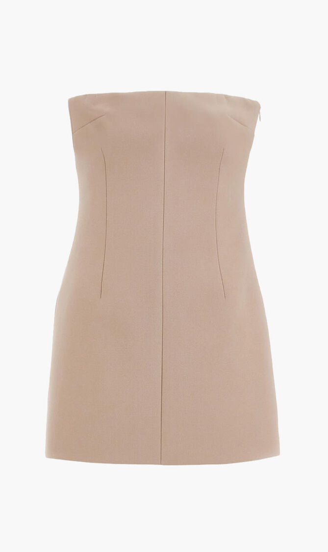 Short Bustier Dress