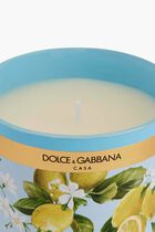 DGA INSTITUTIONAL CANDLE