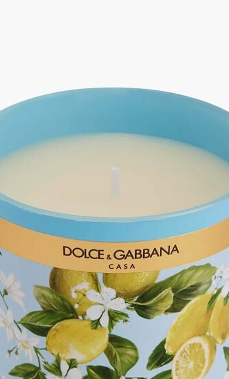 DGA INSTITUTIONAL CANDLE