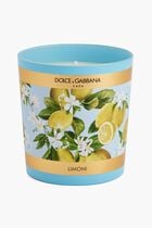 DGA INSTITUTIONAL CANDLE