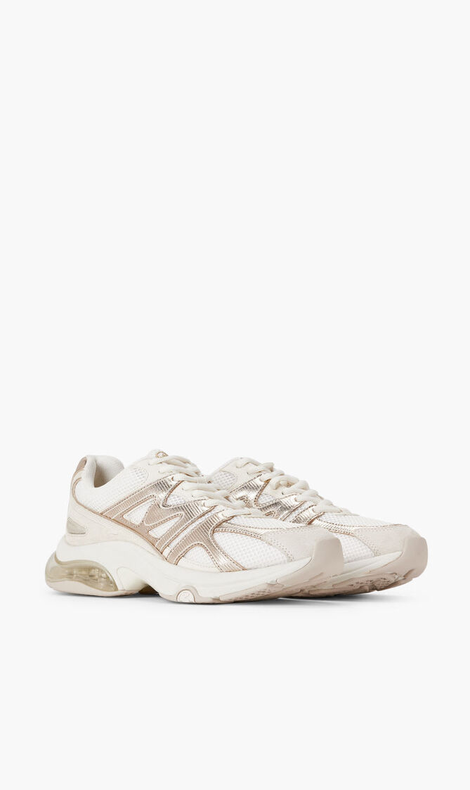 KIT TRAINER EXTREME KIT TRAINER EXTREME