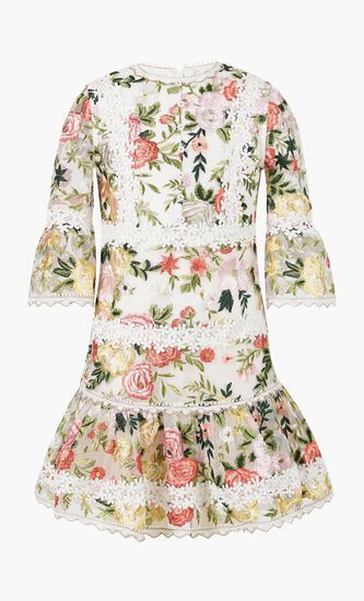 Allure Embroidered Sleeve Mini Dress
