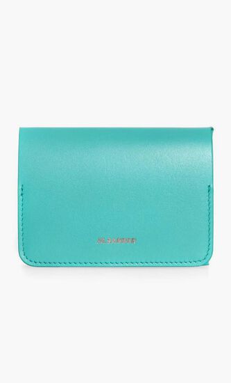 POCKET ZIP AROUND WALLET SOFT CALF & NEW CALF WNAPPA LINING (SATIN PALLADIUM)