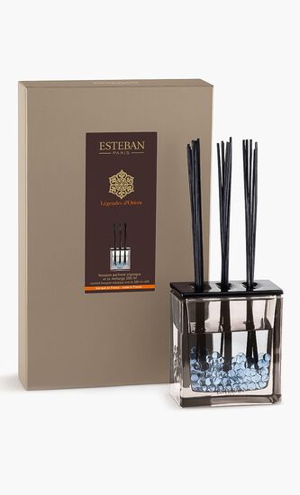 Scented Bouquet Triptyque 250Ml Refill Moka Edition