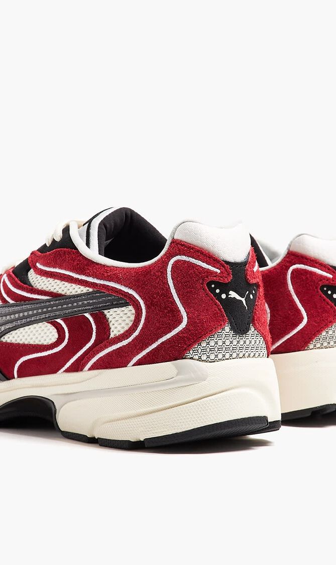 Extos Collector Sneakers